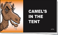 Camel's In the Tent